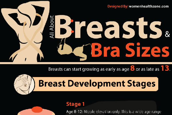 All About Breast And Bra Sizes