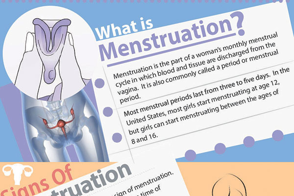 Menstruation And The Menstrual Cycle